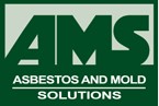 Asbestos and Mold Solutions Inc